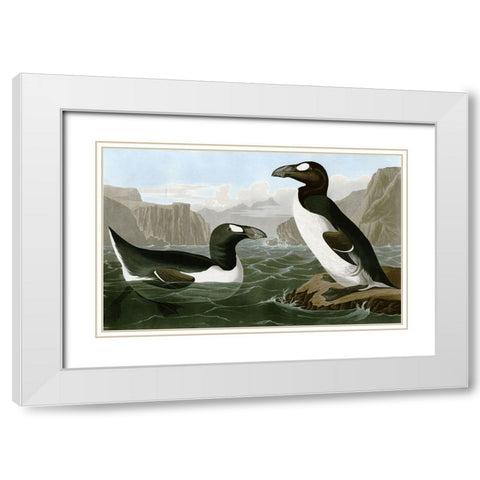 Penguins White Modern Wood Framed Art Print with Double Matting by Vintage Apple Collection