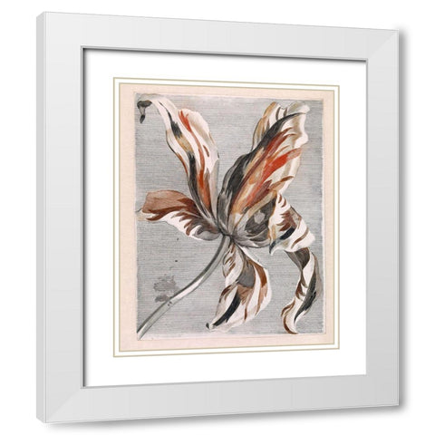 Flowers Five White Modern Wood Framed Art Print with Double Matting by Vintage Apple Collection