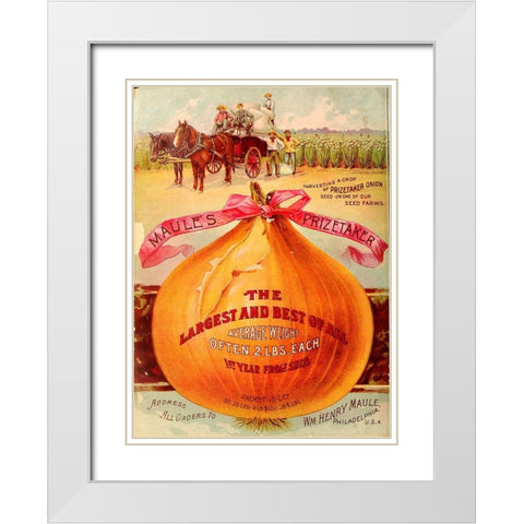 1893 Maules Onion White Modern Wood Framed Art Print with Double Matting by Vintage Apple Collection