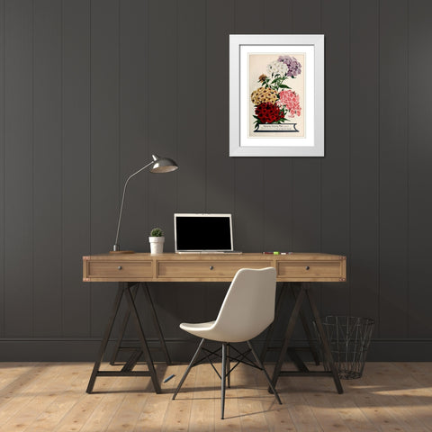 Phlox White Modern Wood Framed Art Print with Double Matting by Vintage Apple Collection