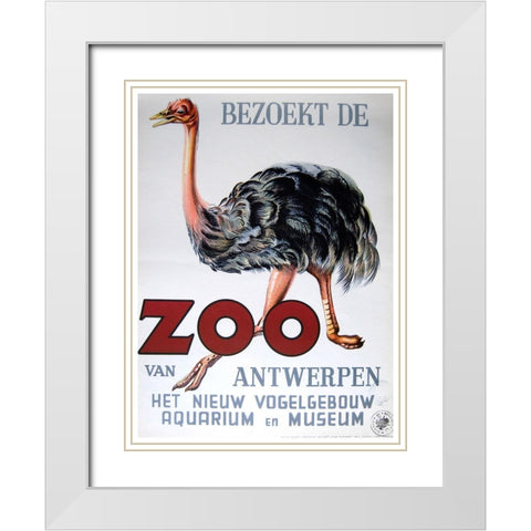 Antwerp Zoo White Modern Wood Framed Art Print with Double Matting by Vintage Apple Collection