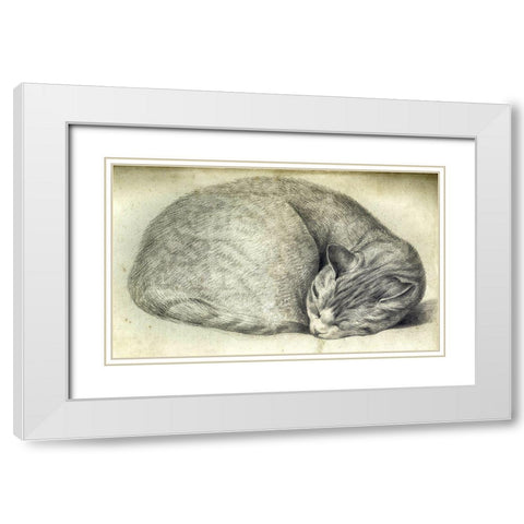 Sleeping Cat White Modern Wood Framed Art Print with Double Matting by Vintage Apple Collection