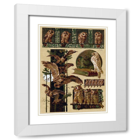 Owls White Modern Wood Framed Art Print with Double Matting by Vintage Apple Collection