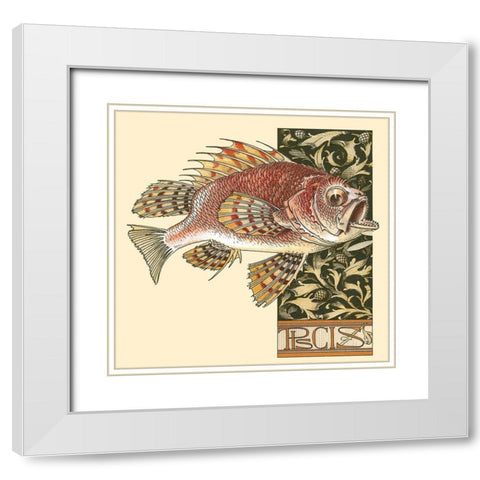 Seder Fish White Modern Wood Framed Art Print with Double Matting by Vintage Apple Collection