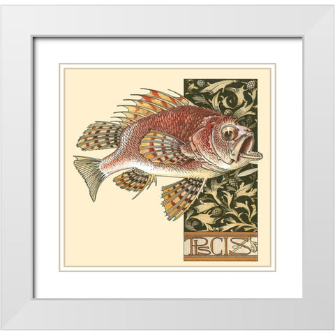 Seder Fish White Modern Wood Framed Art Print with Double Matting by Vintage Apple Collection