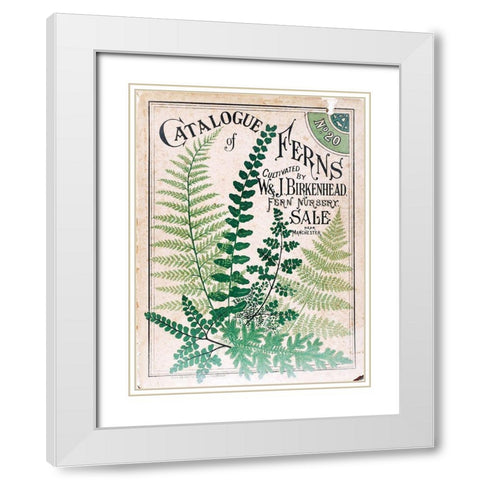 Ferns 2 White Modern Wood Framed Art Print with Double Matting by Vintage Apple Collection