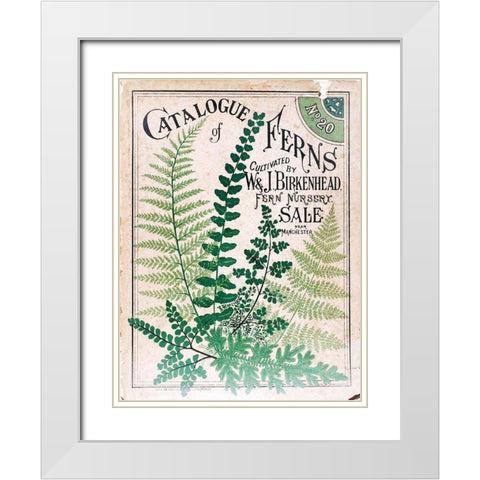 Ferns 2 White Modern Wood Framed Art Print with Double Matting by Vintage Apple Collection