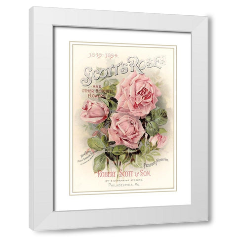 Scotts Roses White Modern Wood Framed Art Print with Double Matting by Vintage Apple Collection
