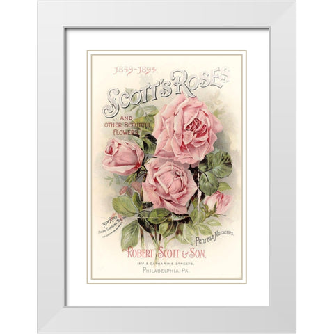 Scotts Roses White Modern Wood Framed Art Print with Double Matting by Vintage Apple Collection