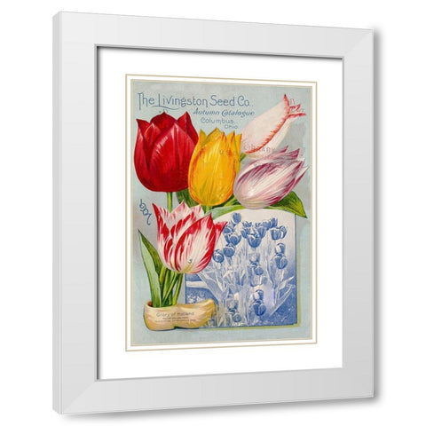 autumncatalogue-tulipes White Modern Wood Framed Art Print with Double Matting by Vintage Apple Collection