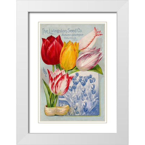 autumncatalogue-tulipes White Modern Wood Framed Art Print with Double Matting by Vintage Apple Collection