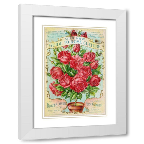 rose_culture White Modern Wood Framed Art Print with Double Matting by Vintage Apple Collection