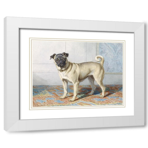 Edwin Vom Rath Pug White Modern Wood Framed Art Print with Double Matting by Vintage Apple Collection