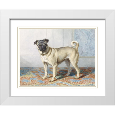 Edwin Vom Rath Pug White Modern Wood Framed Art Print with Double Matting by Vintage Apple Collection