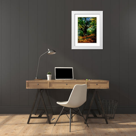 bodmer oak fountainbleau forest White Modern Wood Framed Art Print with Double Matting by Vintage Apple Collection