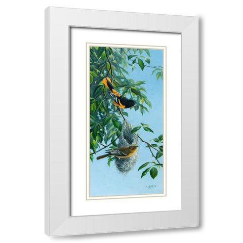 Nesting Orioles White Modern Wood Framed Art Print with Double Matting by Goebel, Wilhelm
