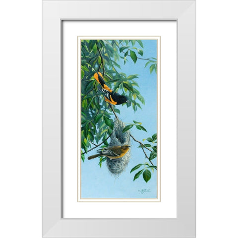 Nesting Orioles White Modern Wood Framed Art Print with Double Matting by Goebel, Wilhelm