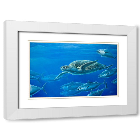 Sea Turtle White Modern Wood Framed Art Print with Double Matting by Goebel, Wilhelm