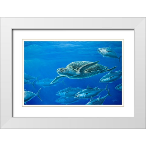 Sea Turtle White Modern Wood Framed Art Print with Double Matting by Goebel, Wilhelm