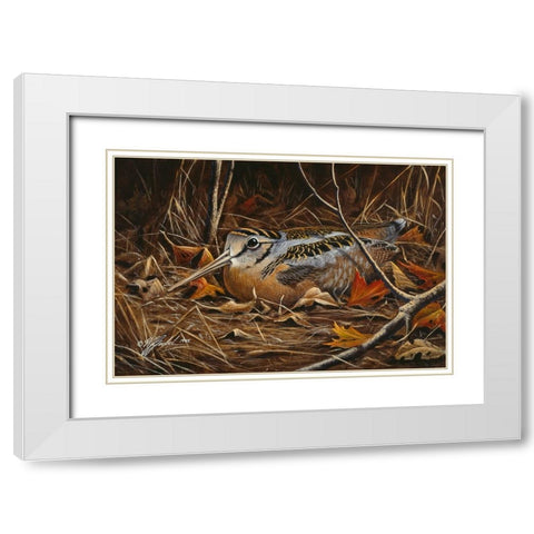 Woodcock In Hiding White Modern Wood Framed Art Print with Double Matting by Goebel, Wilhelm