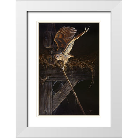 Tight Rope Barn Owl White Modern Wood Framed Art Print with Double Matting by Goebel, Wilhelm
