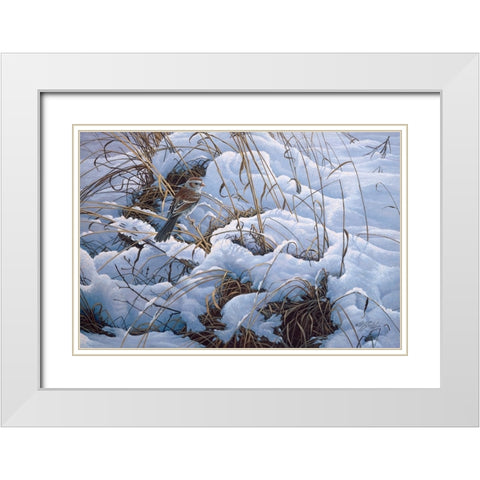 Snow Glow Field Sparrows White Modern Wood Framed Art Print with Double Matting by Goebel, Wilhelm