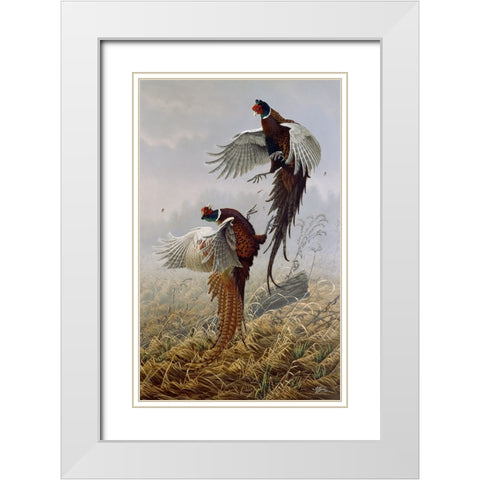 Ringneck Rivalry White Modern Wood Framed Art Print with Double Matting by Goebel, Wilhelm