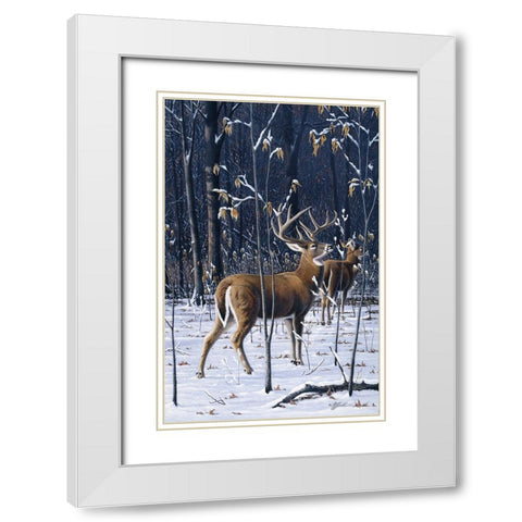 Buck In His Prime White Modern Wood Framed Art Print with Double Matting by Goebel, Wilhelm