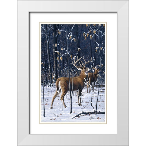 Buck In His Prime White Modern Wood Framed Art Print with Double Matting by Goebel, Wilhelm