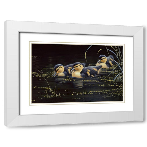 Mallard Ducklings White Modern Wood Framed Art Print with Double Matting by Goebel, Wilhelm