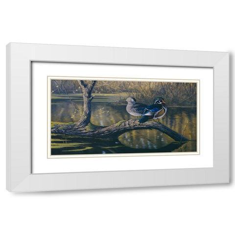 Spring Pair - Wood Ducks White Modern Wood Framed Art Print with Double Matting by Goebel, Wilhelm