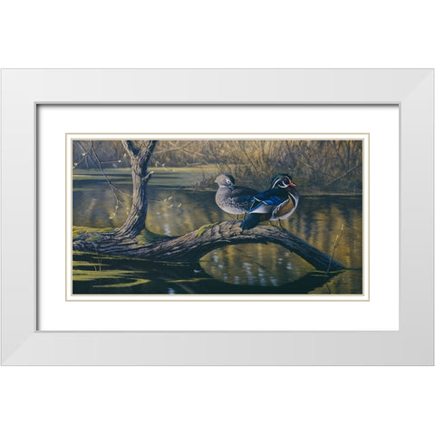 Spring Pair - Wood Ducks White Modern Wood Framed Art Print with Double Matting by Goebel, Wilhelm