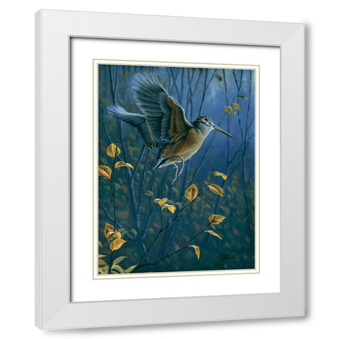 Woodcock On The Wing White Modern Wood Framed Art Print with Double Matting by Goebel, Wilhelm