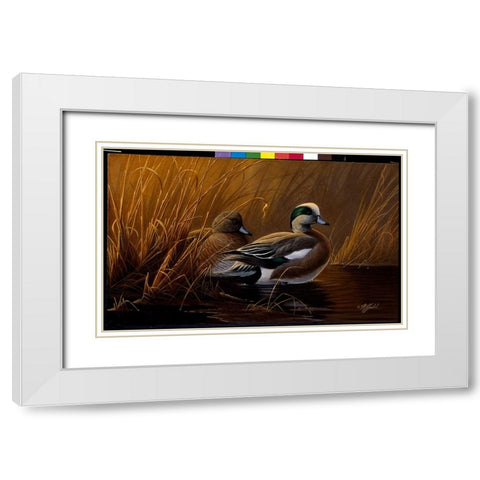 Widgeon In The Grass White Modern Wood Framed Art Print with Double Matting by Goebel, Wilhelm
