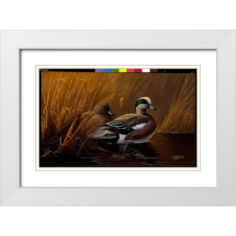 Widgeon In The Grass White Modern Wood Framed Art Print with Double Matting by Goebel, Wilhelm