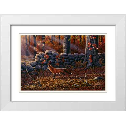 Autumn Reds - Red Fox White Modern Wood Framed Art Print with Double Matting by Goebel, Wilhelm