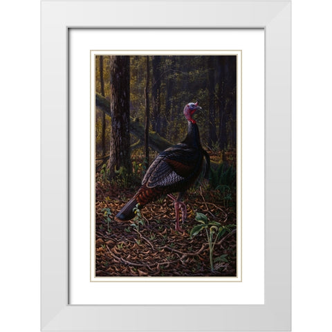 Ever Alert - Wild Turkey White Modern Wood Framed Art Print with Double Matting by Goebel, Wilhelm