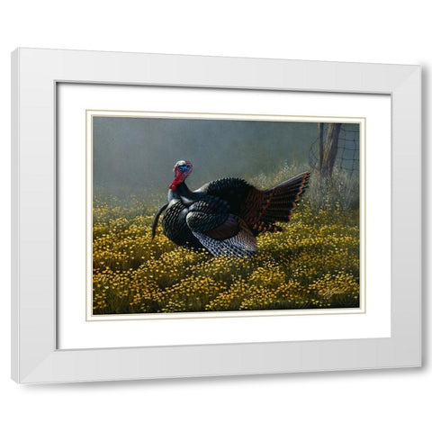 Belly Deep In Buttercups White Modern Wood Framed Art Print with Double Matting by Goebel, Wilhelm