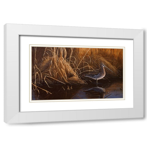 Evening Light - Snipe White Modern Wood Framed Art Print with Double Matting by Goebel, Wilhelm