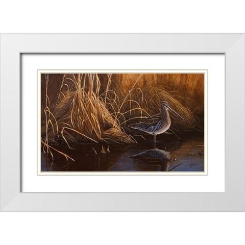 Evening Light - Snipe White Modern Wood Framed Art Print with Double Matting by Goebel, Wilhelm