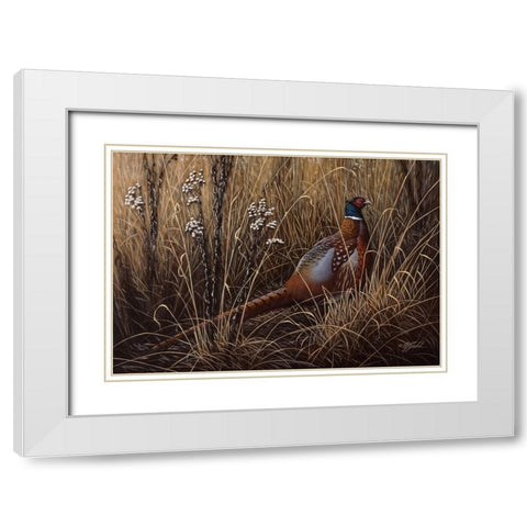 Pheasant In The Grass 2 White Modern Wood Framed Art Print with Double Matting by Goebel, Wilhelm