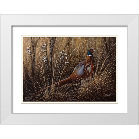 Pheasant In The Grass 2 White Modern Wood Framed Art Print with Double Matting by Goebel, Wilhelm