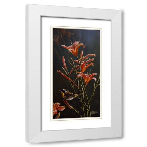 Yellowthroat And Daylilies White Modern Wood Framed Art Print with Double Matting by Goebel, Wilhelm