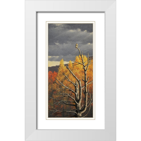 Red-Tailed Hawk In An Old Pine White Modern Wood Framed Art Print with Double Matting by Goebel, Wilhelm