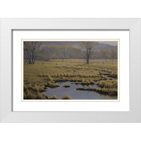 Spring Pasture - Mallard Pair White Modern Wood Framed Art Print with Double Matting by Goebel, Wilhelm