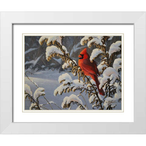 Winter Cardinal White Modern Wood Framed Art Print with Double Matting by Goebel, Wilhelm