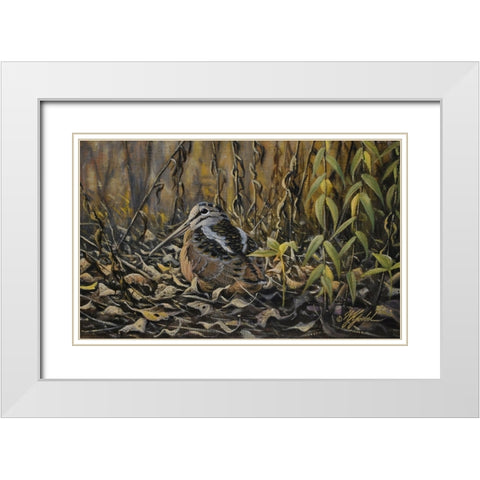 Woodcock White Modern Wood Framed Art Print with Double Matting by Goebel, Wilhelm