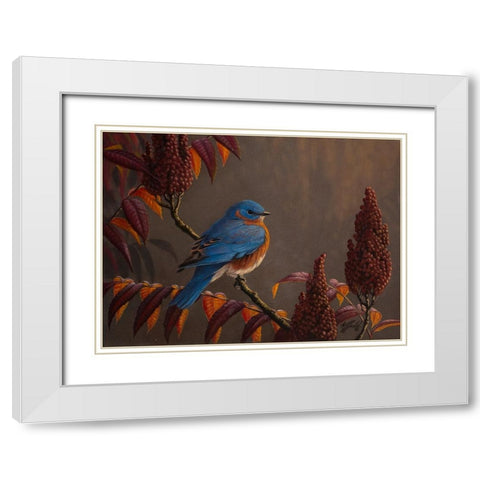 Autumn Bluebird White Modern Wood Framed Art Print with Double Matting by Goebel, Wilhelm
