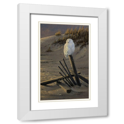 Dune Watcher - Snowy Owl White Modern Wood Framed Art Print with Double Matting by Goebel, Wilhelm