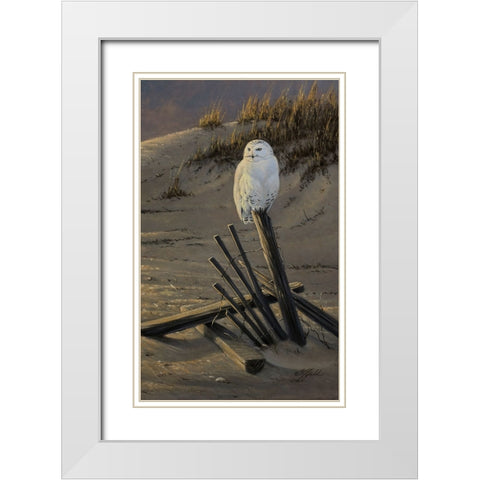 Dune Watcher - Snowy Owl White Modern Wood Framed Art Print with Double Matting by Goebel, Wilhelm